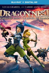 Dragon Nest Warriors Dawn 2014 Dub in Hindi Full Movie